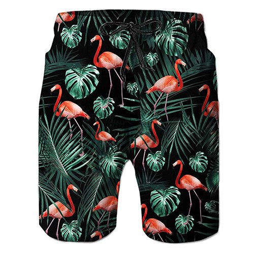 Athletic Gym & Running Shorts